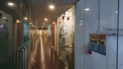 The Commerze@irving (D13), Shop House #606968161